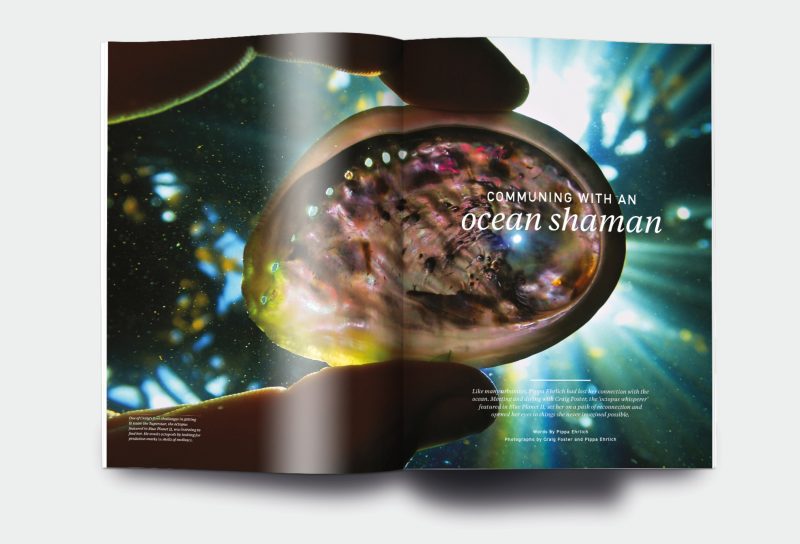 OM_website_ISSUE1_6