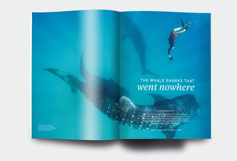 OM_website_ISSUE1_7