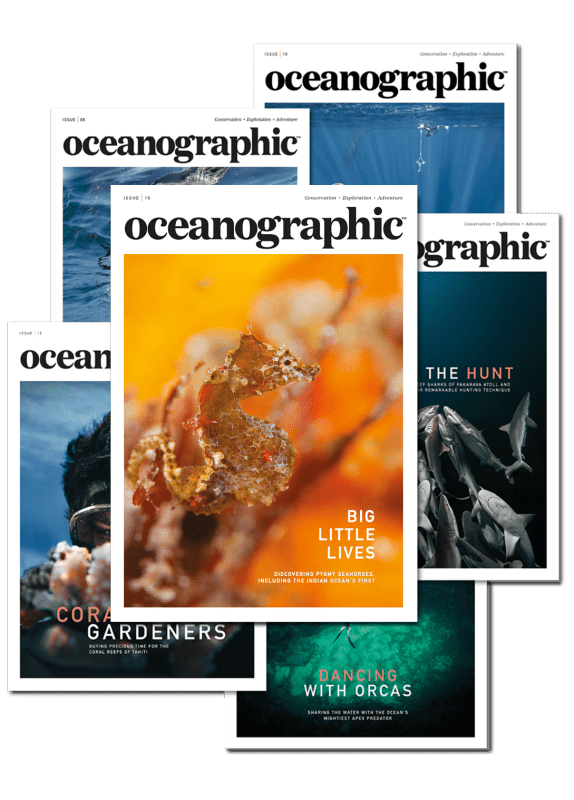 Oceanographic Issue 15 subscription