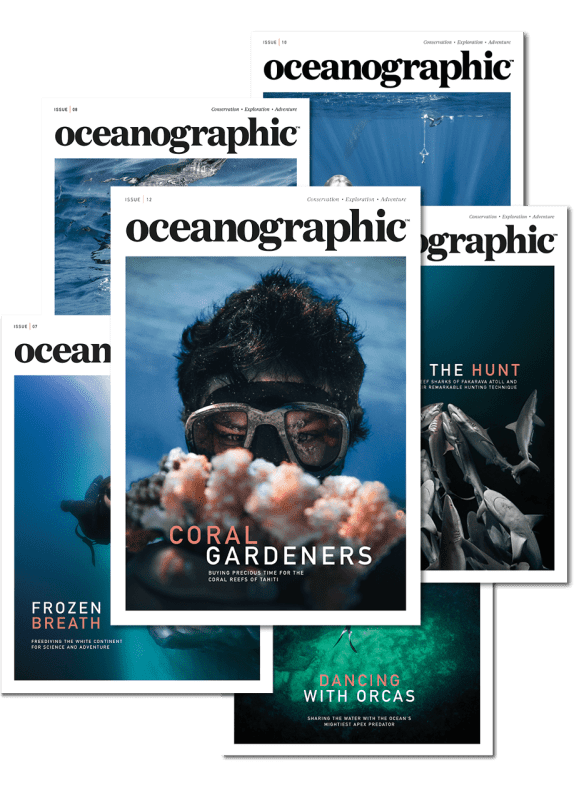 Oceanographic Magazine, subscription, issue 12