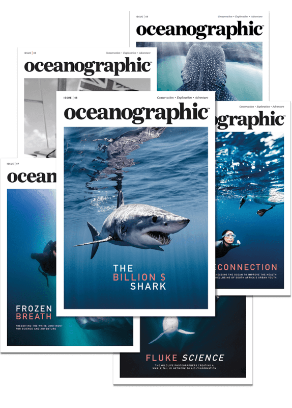 Oceanographic Magazine subscription