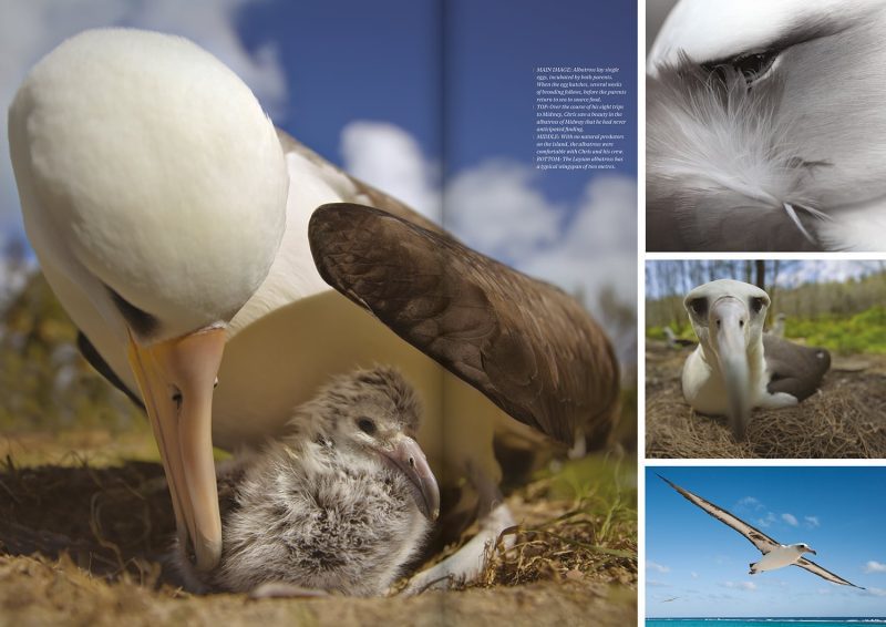 Oceanographic Magazine Issue 01