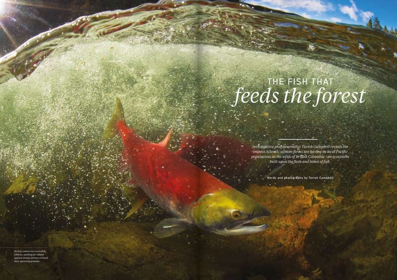 Oceanographic Magazine Issue 01