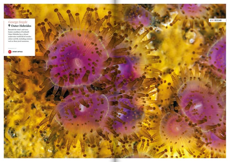 Oceanographic Magazine Issue 01