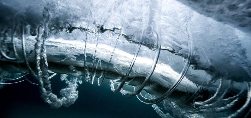 water-art-ocean-photography-underwater-sean-scott