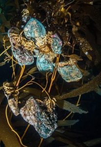 This is an example caption