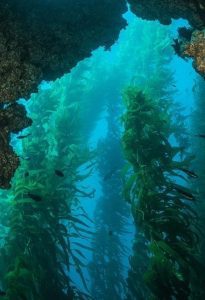 This is an example caption