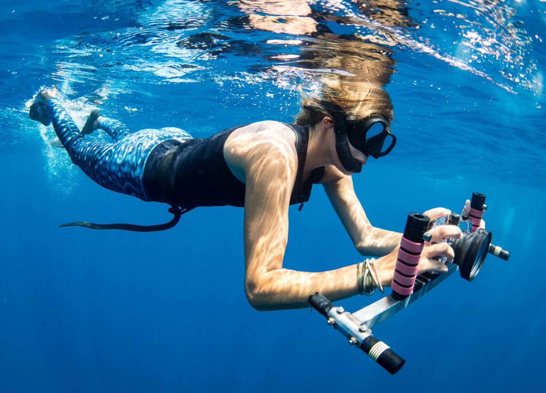 Dr-Andrea-Marshall-whale-shark-laser-camera-measure