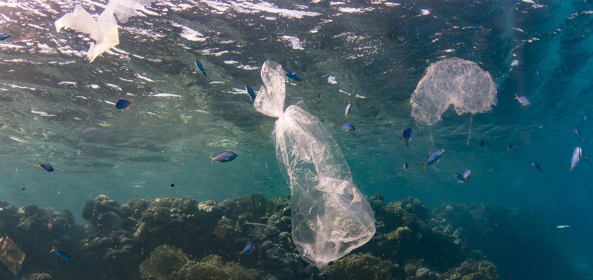 ocean-plastics