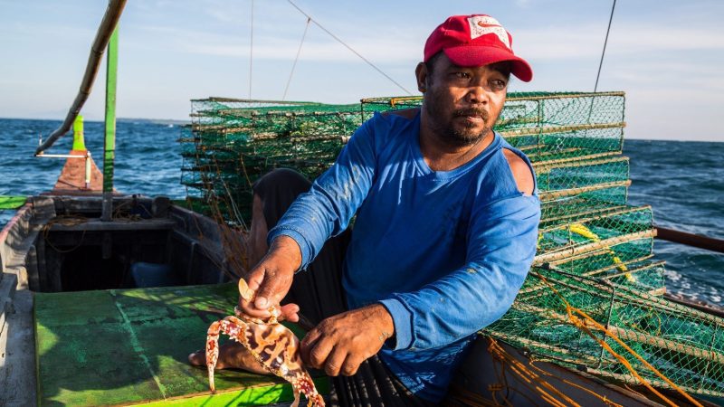 sustainable-fishing-philippines