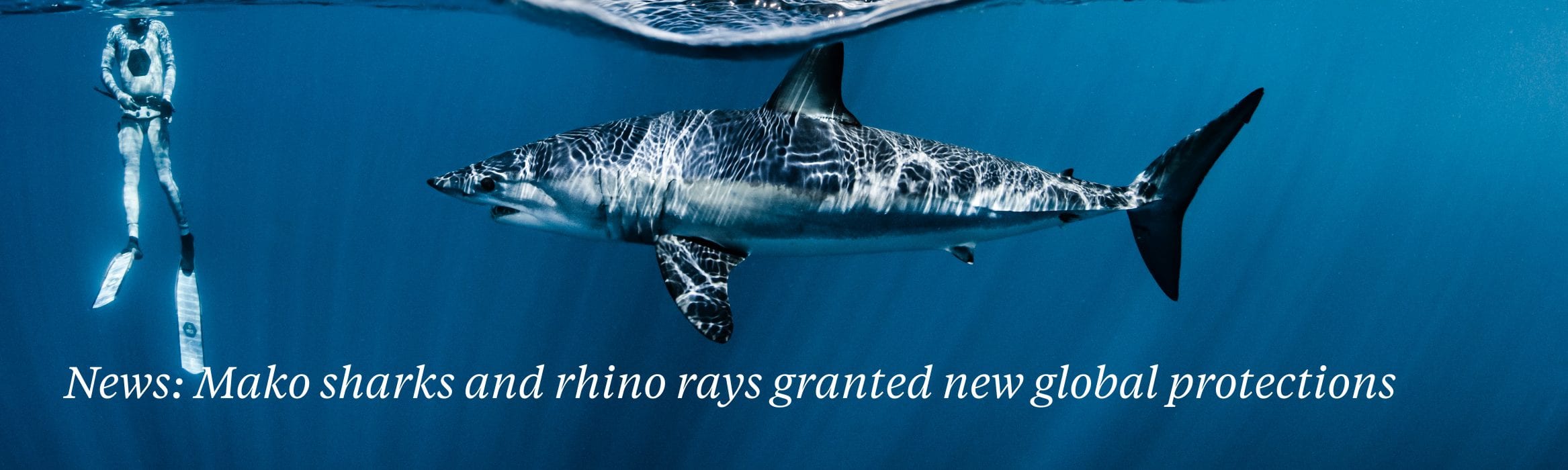 mako sharks cites appendix II project aware