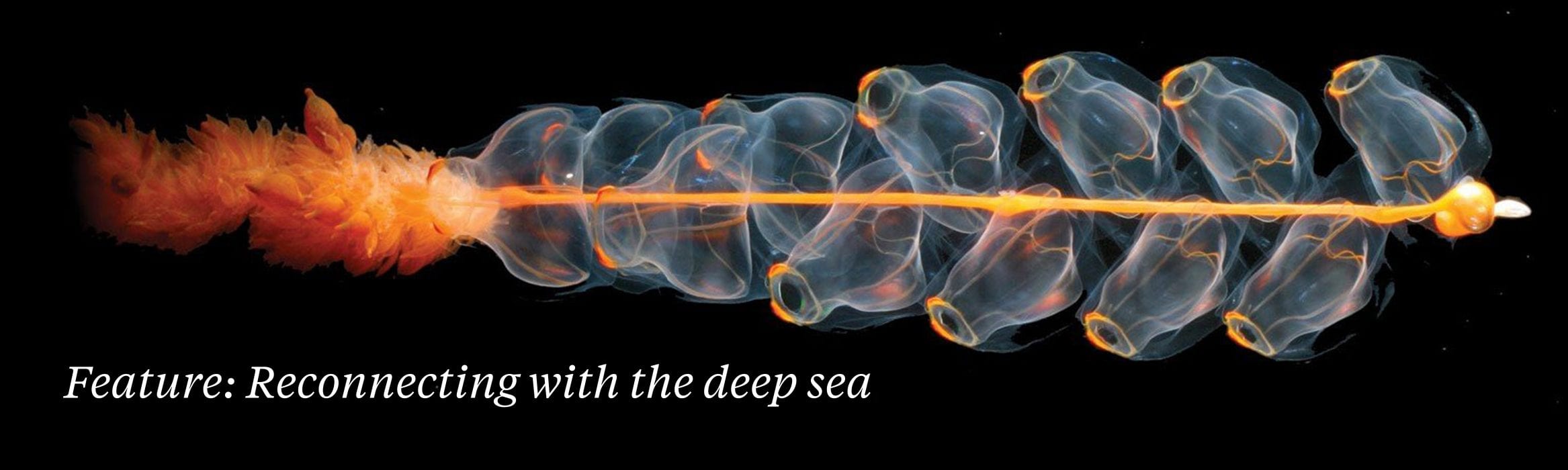 diva amon deep sea exploration project aware