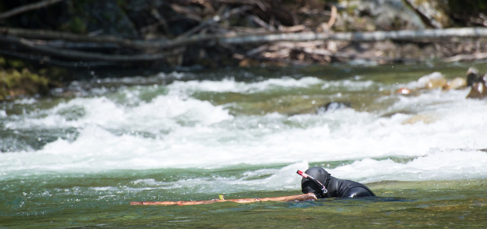 River snorkelling, river photography, underwater photography.