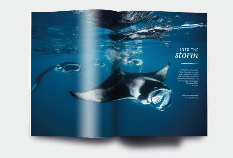 OM_website_ISSUE4_6