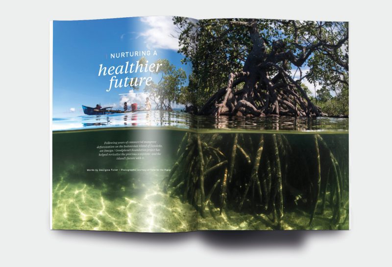 OM_website_ISSUE4_5