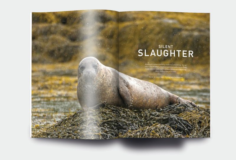 OM_website_ISSUE4_3