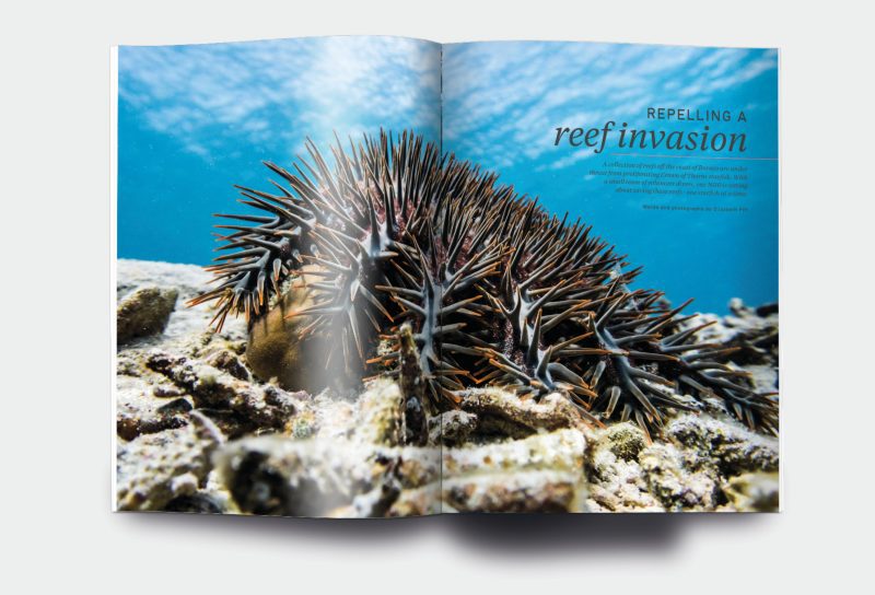 OM_website_ISSUE4_4