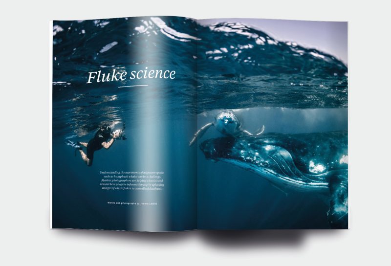 OM_website_ISSUE4_2