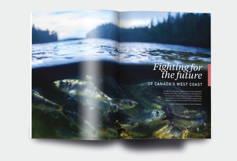 OM_website_ISSUE6_2