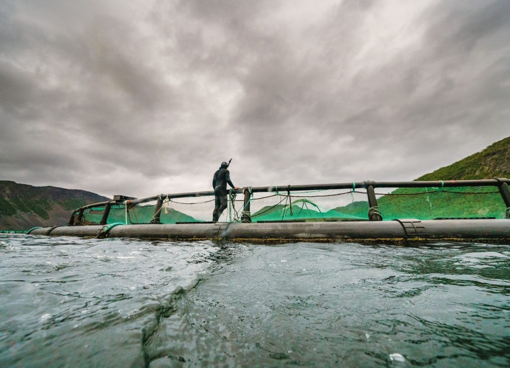 ARTIFISHAL-film-patagonia-salmon-farming-fisheries-ben-moon