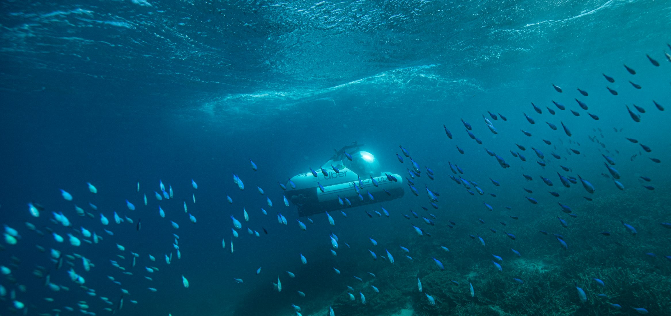 cUber-travelling-amongst-marine-life-at-Heron-Island-Credit-Tourism-and-Events-Queensland