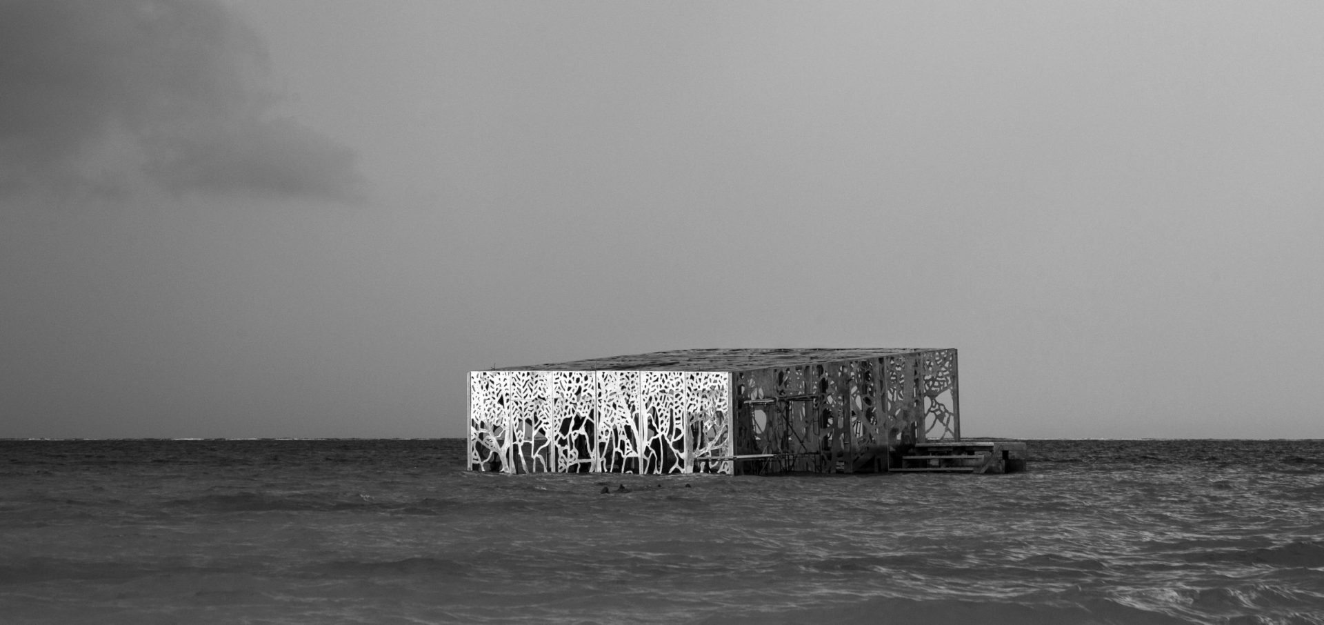 coralarium-jason-decairnes-taylor-maldives-cat-vinton