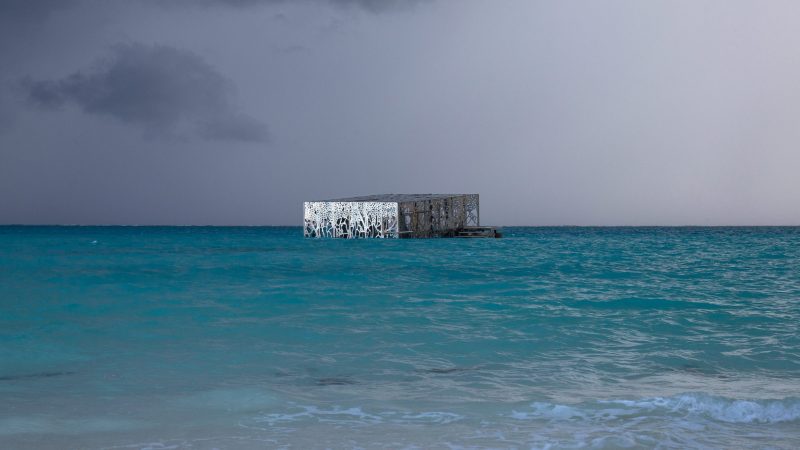 coralarium-jason-decairnes-taylor-maldives-cat-vinton