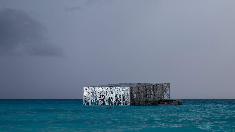 coralarium-jason-decairnes-taylor-maldives-cat-vinton