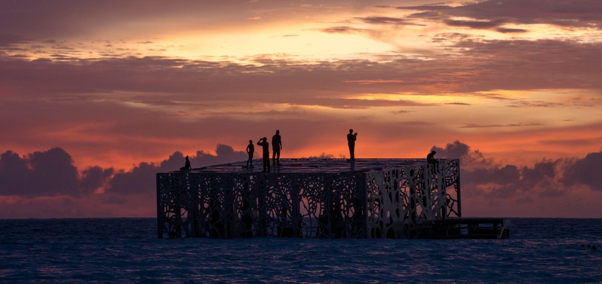 coralarium-jason-decairnes-taylor-maldives-cat-vinton-ocean-sea-photography