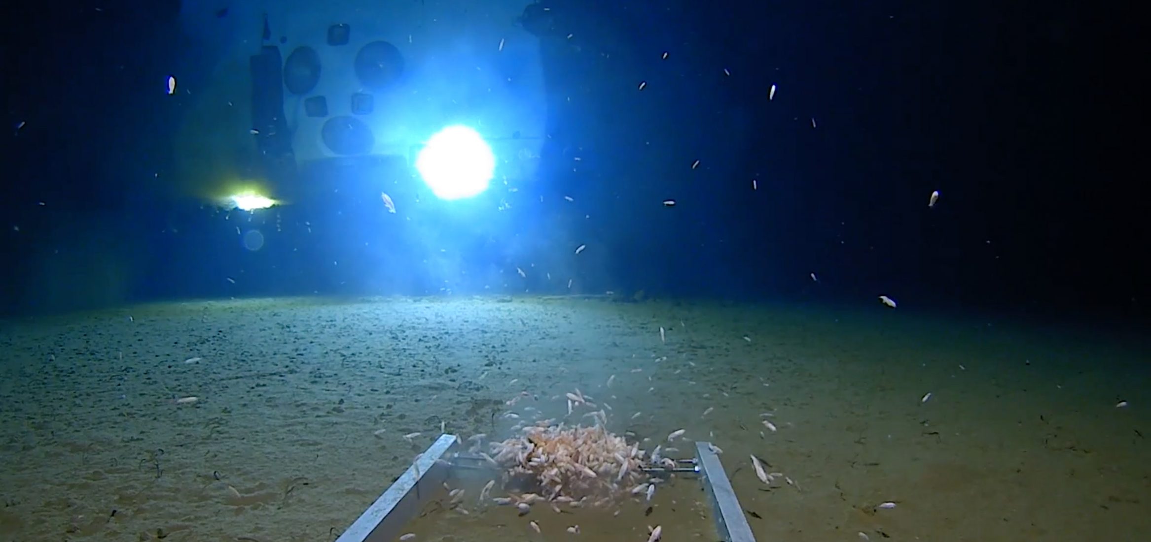 mariana-trench-dive-underwater-limiting-factor-submarine-triton