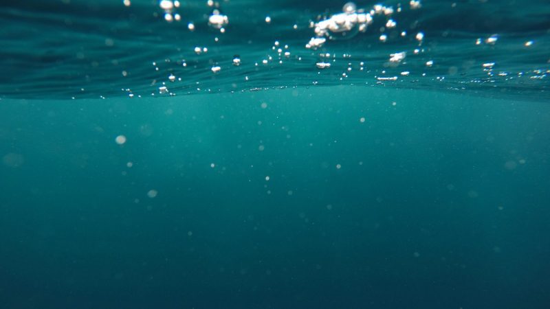 underwater-photography