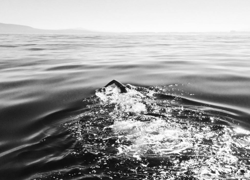 carina-bruwer-false-bay-swim