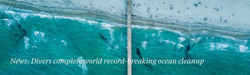 surfers-against-sewage-plastic-free-awards