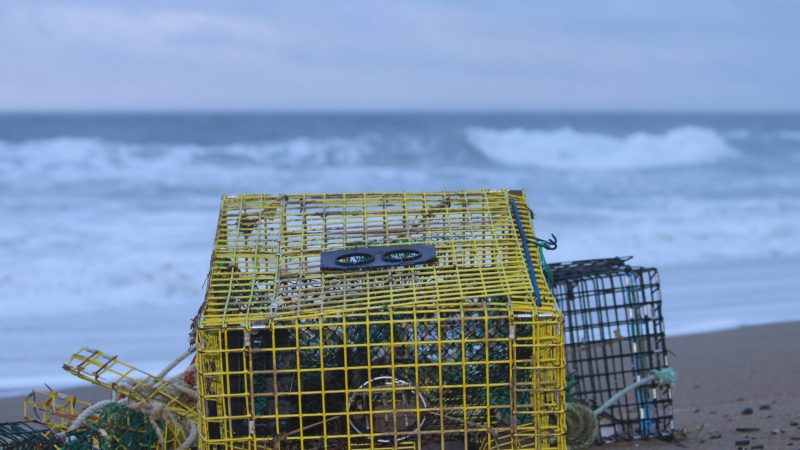 G20-marine-plastic-deal-ghost-net
