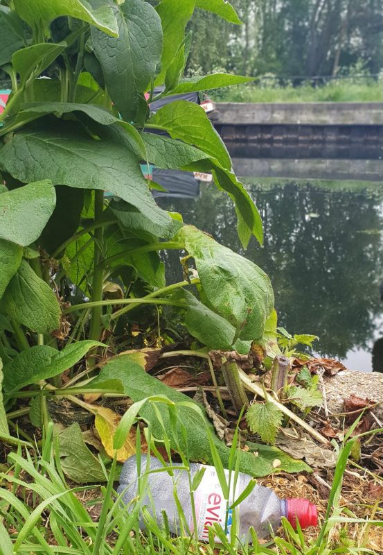 Lizzie carr plastic patrol paddleboarding litter