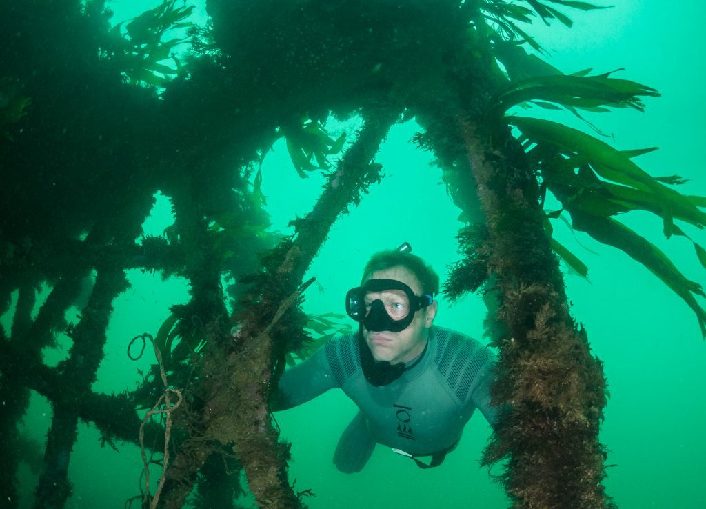 andy-torbet-kelp-forest-free-diver