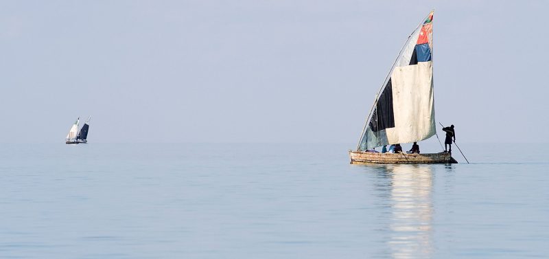 smalleye-stingray-marine-megafauna-foundation-Mozambique