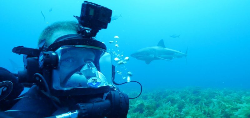 Andy-Casagrande-shark-week-sharks-conservation-predator