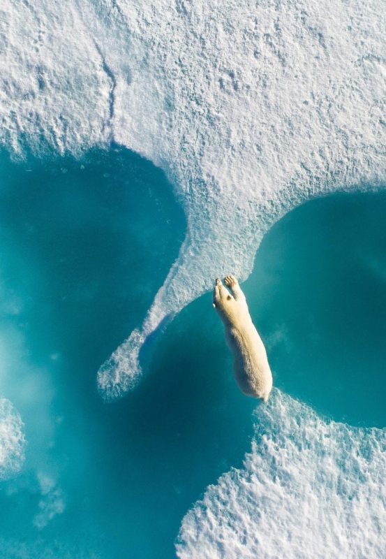 Florian Ledoux drone filmmaker ocean cinematographer oceans film festival polar bear ice arctic landscape