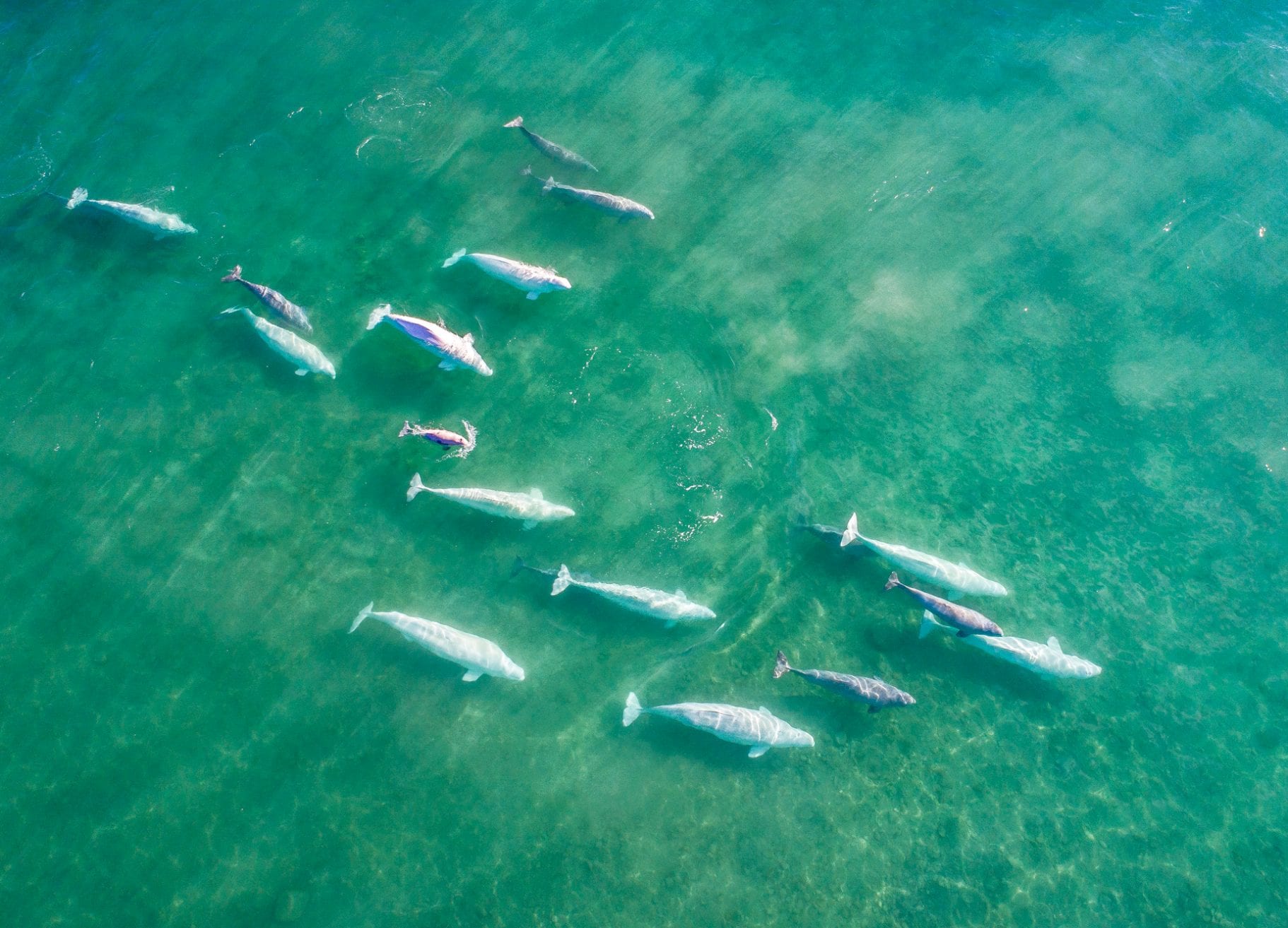 Florian Ledoux drone filmmaker ocean cinematographer oceans film festival seascape arctic landscape