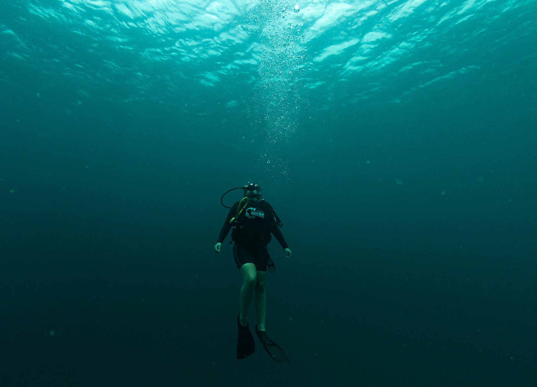 BARBADOS-OCEAN-CLEAN-UP-PROJECT-AWARE