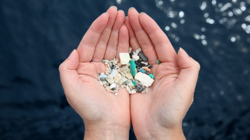 Emily Penn eXXpedition plastic pollution circumnavigation