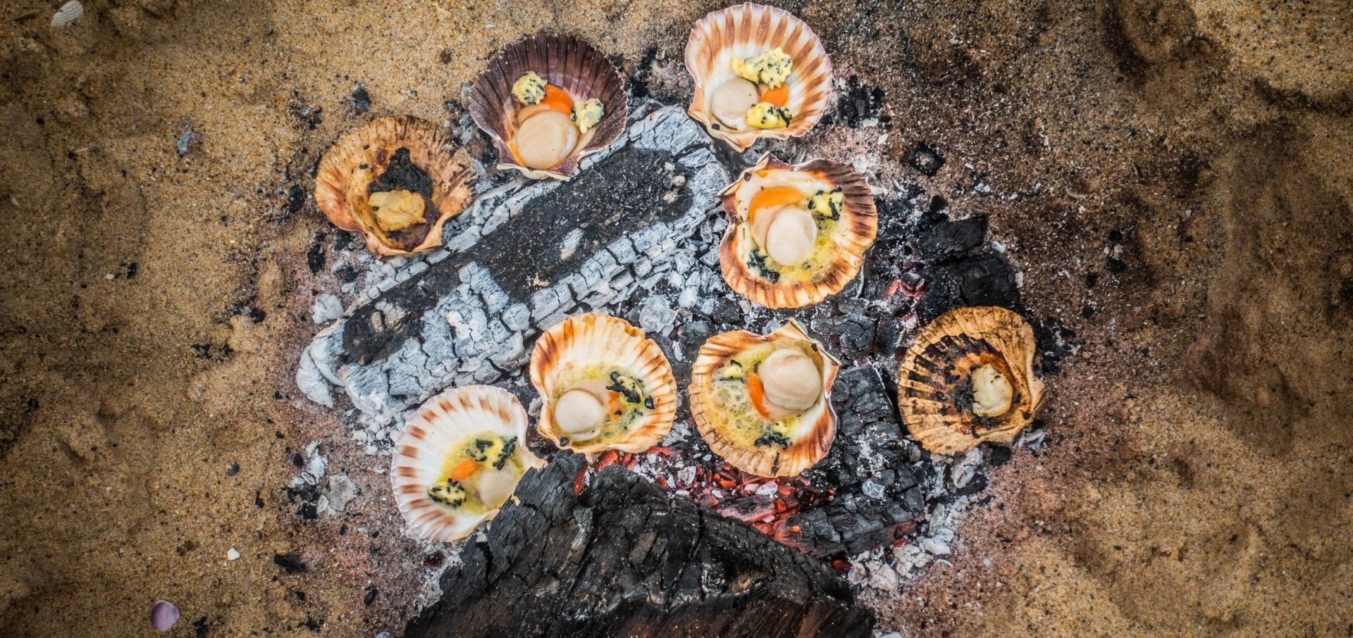 captain sophie hollingsworth adventure cooking sailing scallops