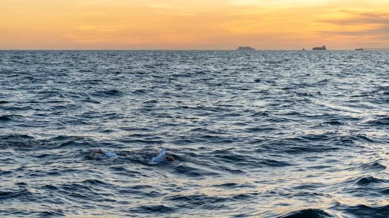 Sarah Thomas Swimmer English Channel Swim