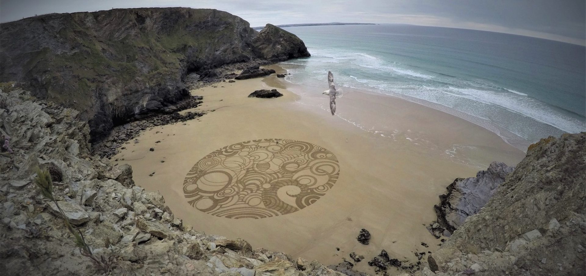 ocean film festival tony plant bedruthan sand artist cornwall