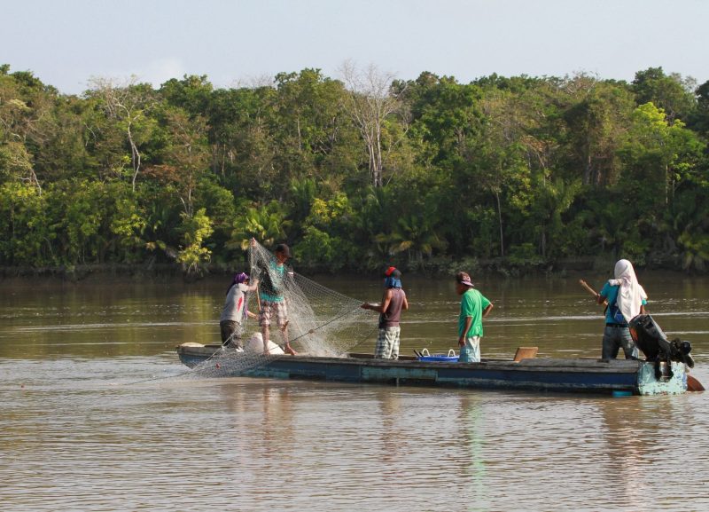 shark and ray marine conservation MarAlliance traditional fishermen