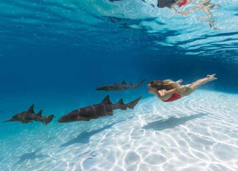 andre musgrove underwater photographer freediver the bahamas