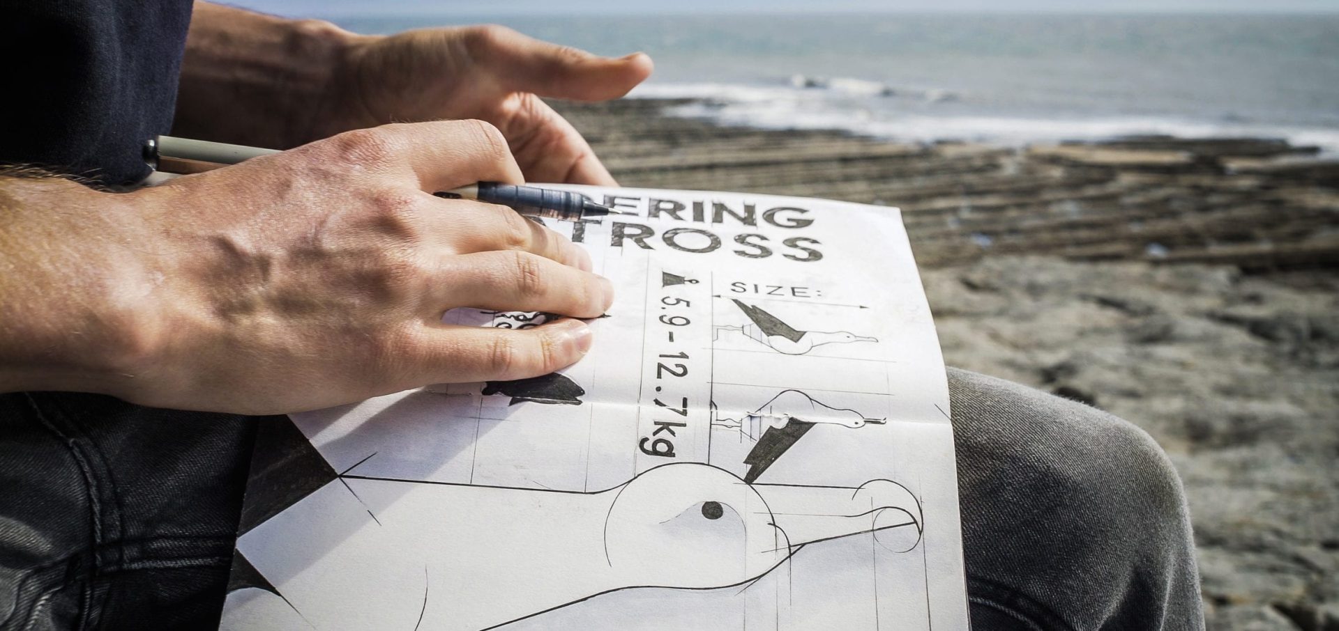 Conservation art endangered animals under the skin albatross illustration