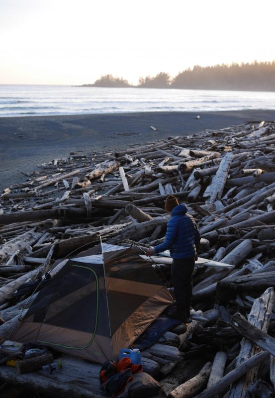 Conservation art endangered animals under the skin beach camp
