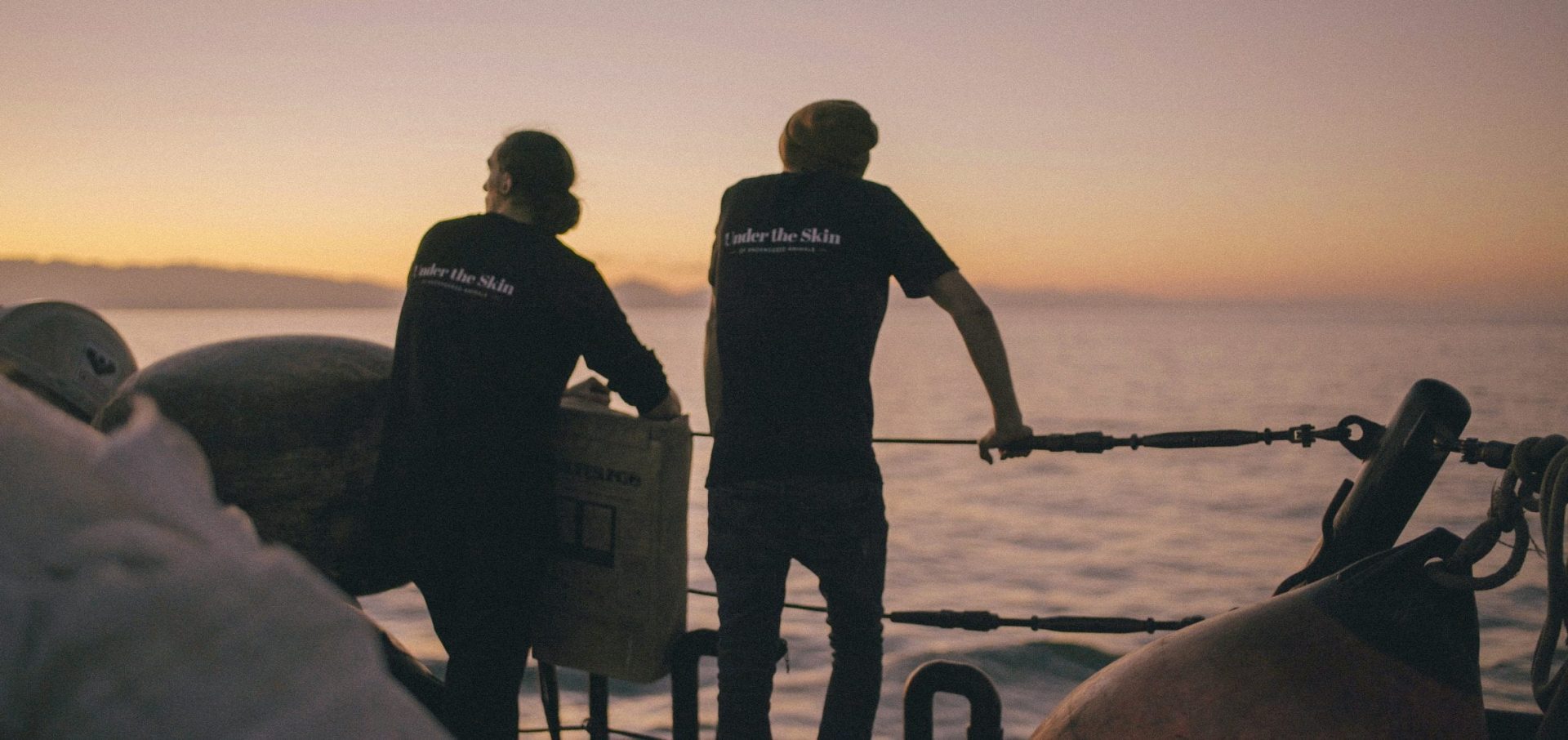 Conservation art endangered animals under the skin sea shepherd